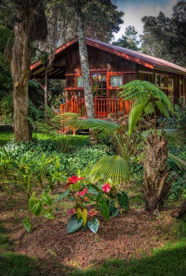 Crater Rim Cabin Ξενοδοχείο Volcano Εξωτερικό φωτογραφία